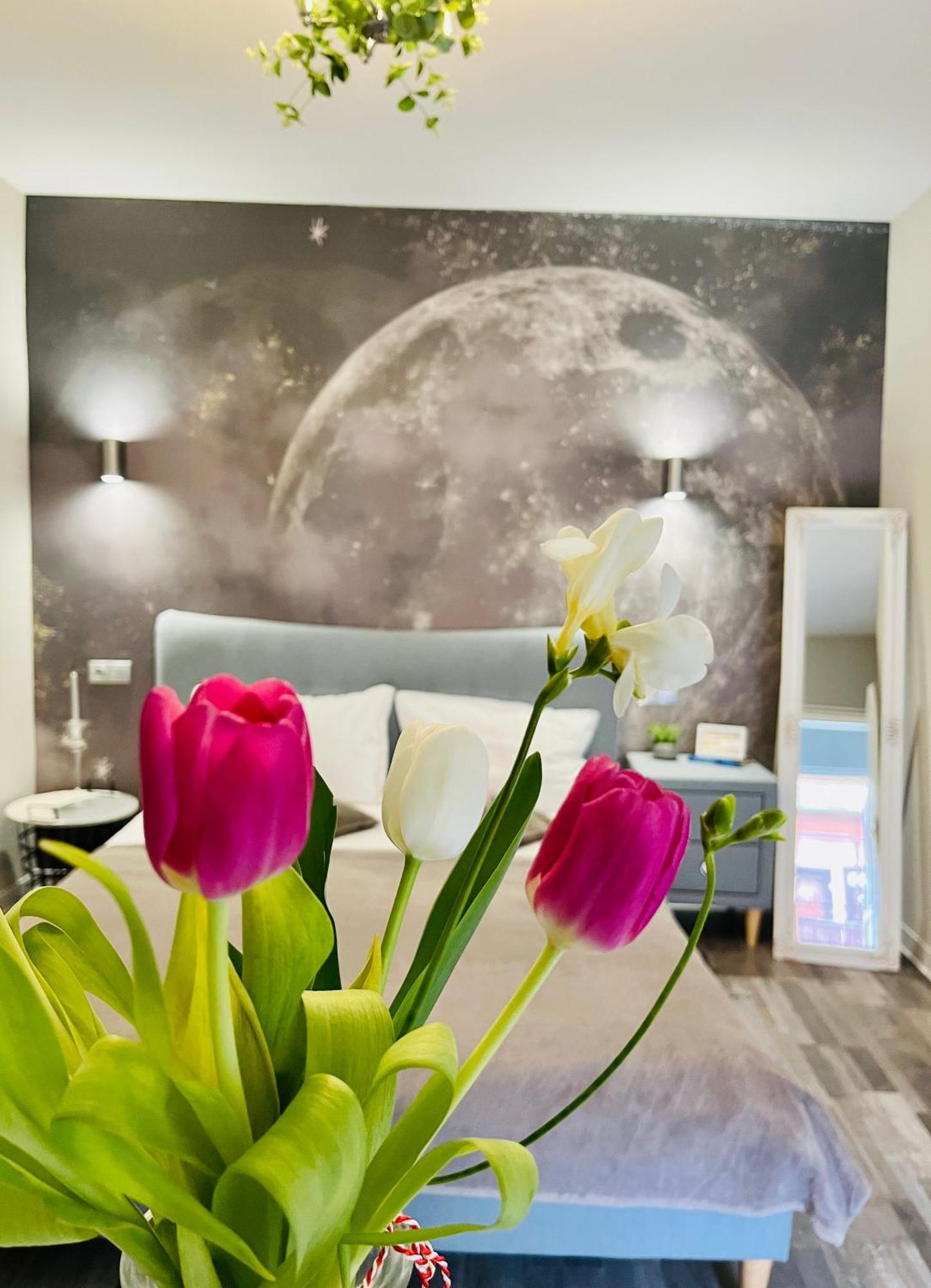 Moon And Sun Apartments Sibiu Eksteriør bilde